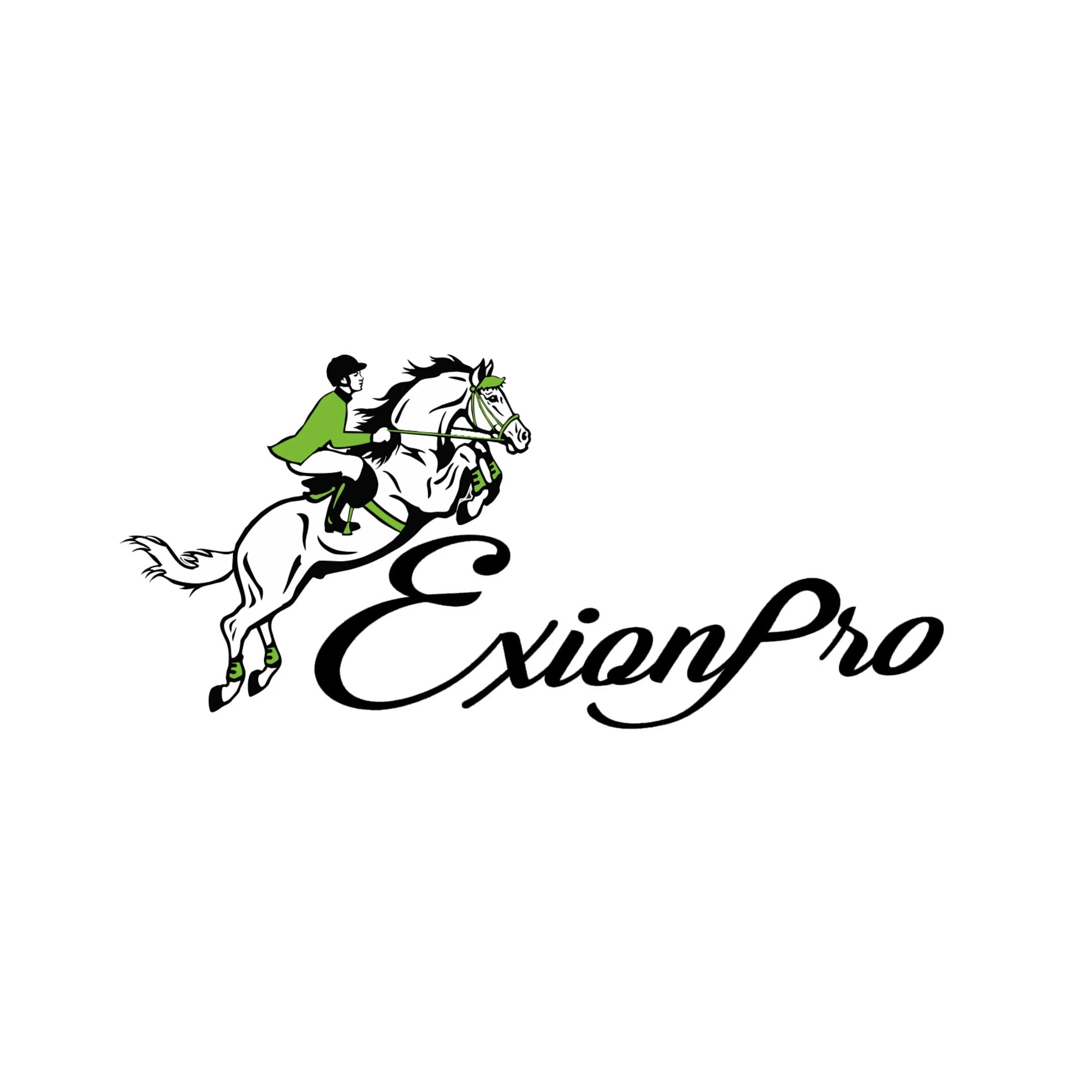 ExionPro Clincher Leather Halter - Brass Hardware