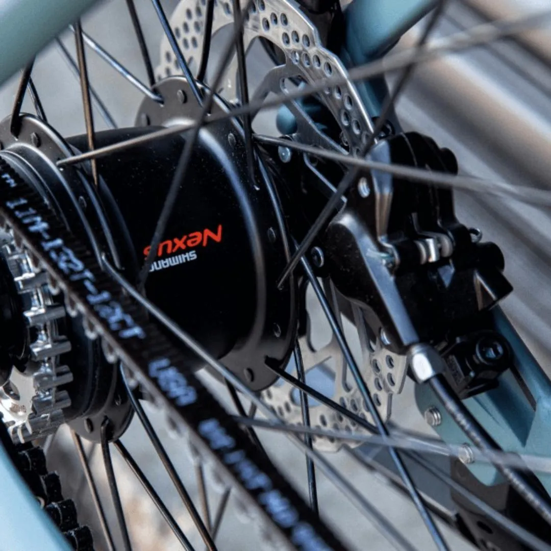 Gazelle Ultimate C8